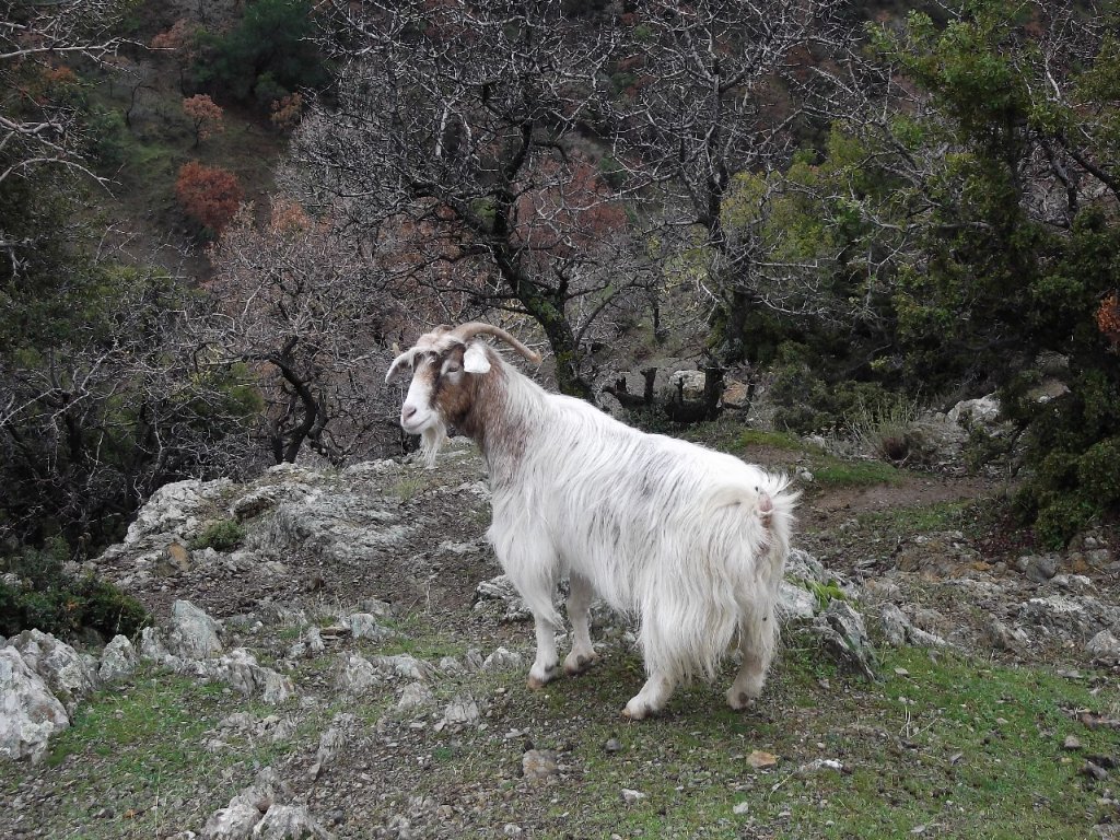 Uzundere'den (08 Ocak 2012)  00025.jpg