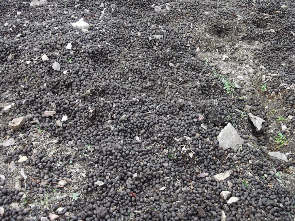 Uzundere'den (08 Ocak 2012)  00030.jpg