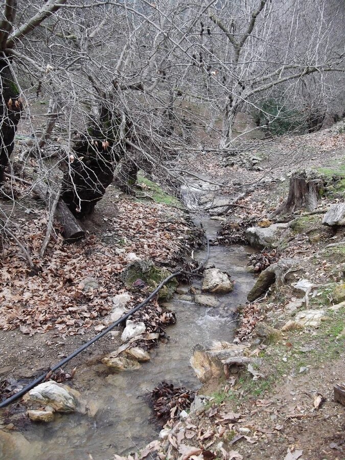 Uzundere'den (08 Ocak 2012)  00038.jpg