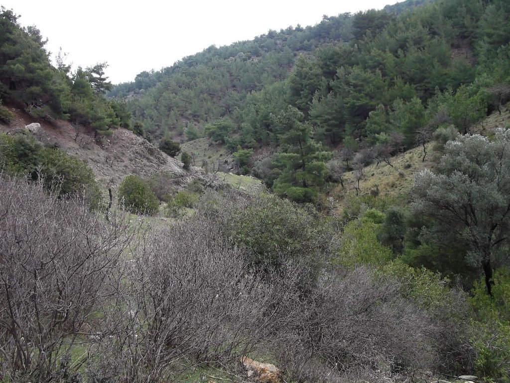 Uzundere'den (08 Ocak 2012)  00041.jpg