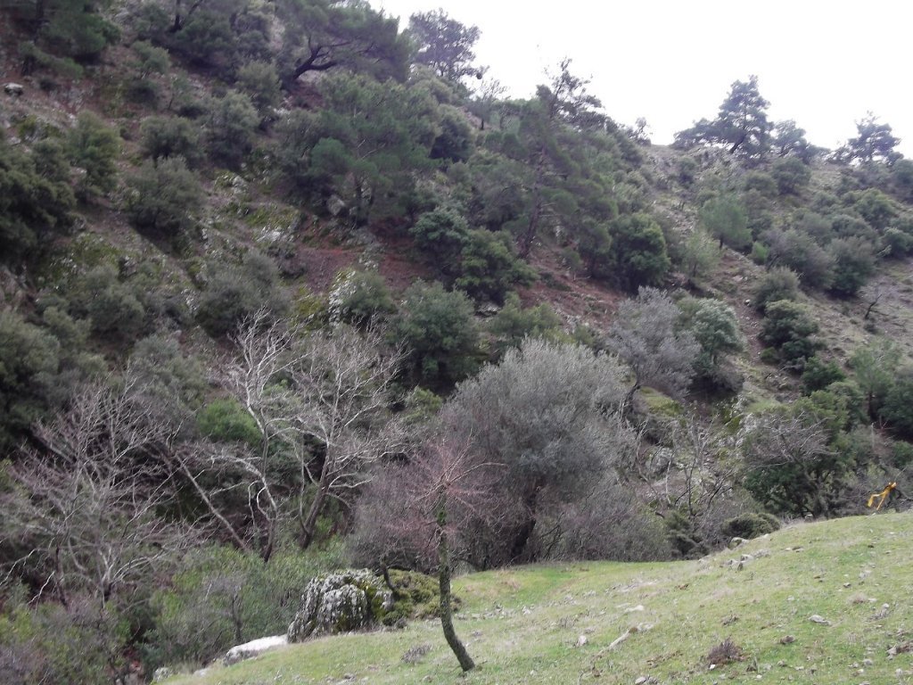 Uzundere'den (08 Ocak 2012)  00042.jpg