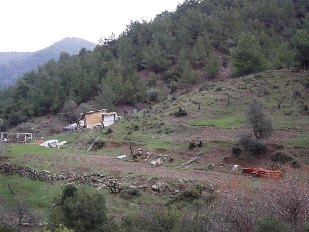 Uzundere'den (08 Ocak 2012)  00044.jpg