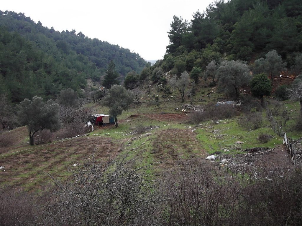 Uzundere'den (08 Ocak 2012)  00046.jpg