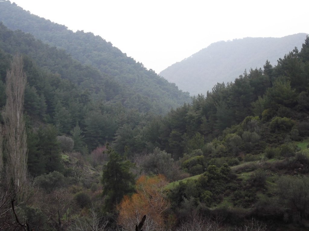 Uzundere'den (08 Ocak 2012)  00052.jpg