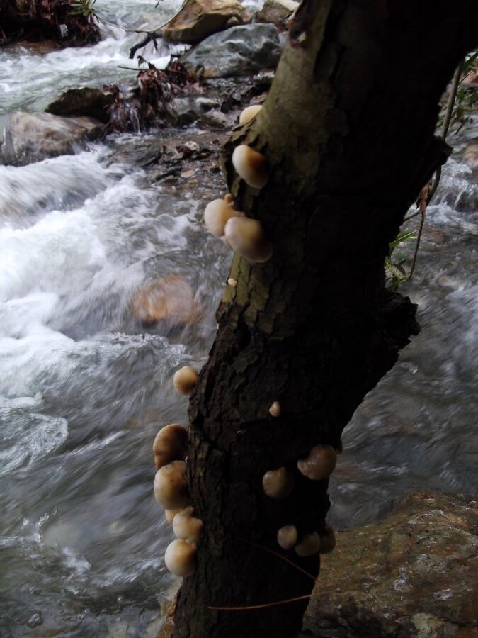 Uzundere'den (08 Ocak 2012)  00053.jpg