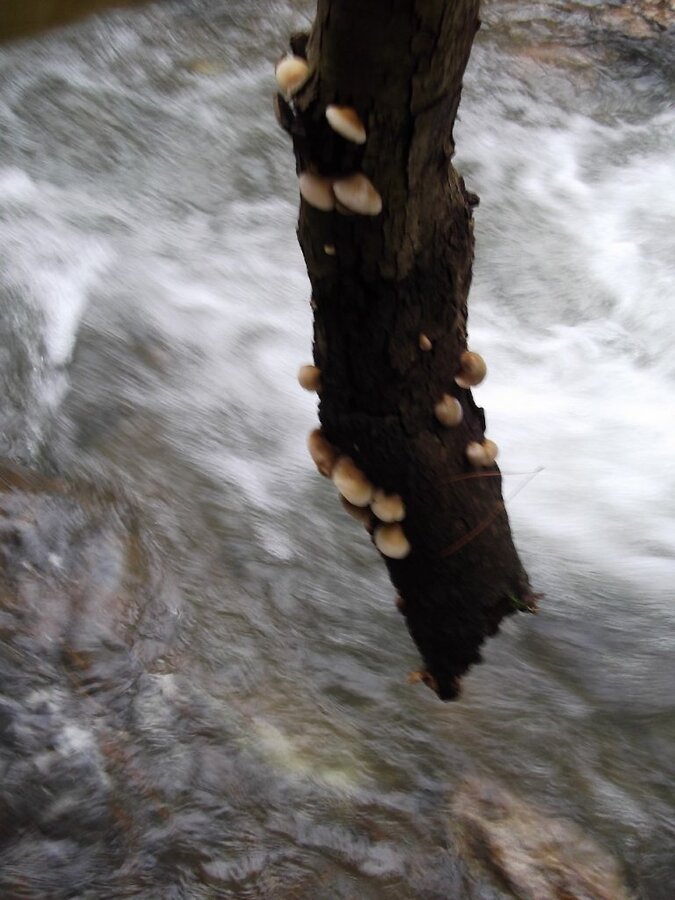 Uzundere'den (08 Ocak 2012)  00054.jpg