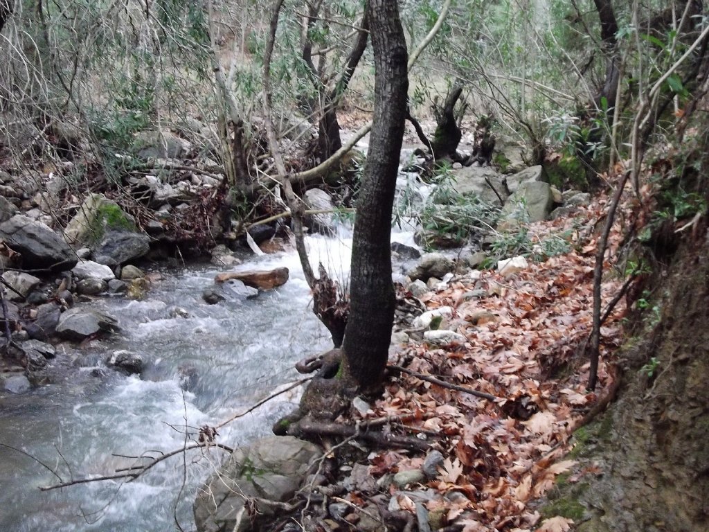 Uzundere'den (08 Ocak 2012)  00055.jpg