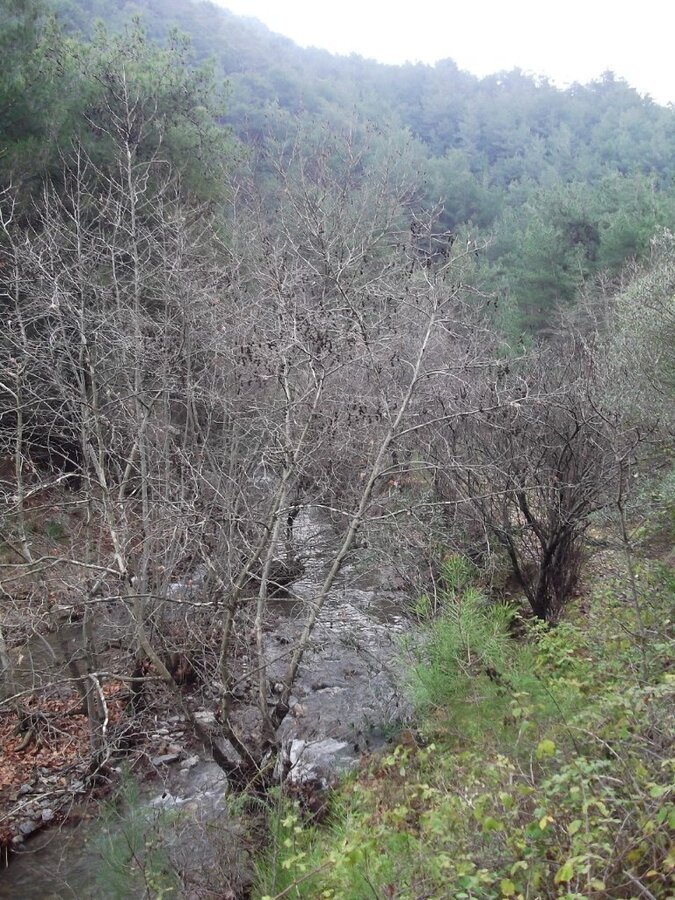 Uzundere'den (08 Ocak 2012)  00056.jpg