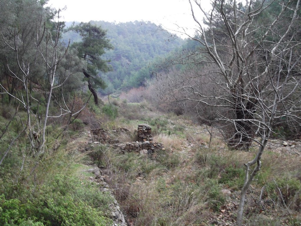 Uzundere'den (08 Ocak 2012)  00057.jpg