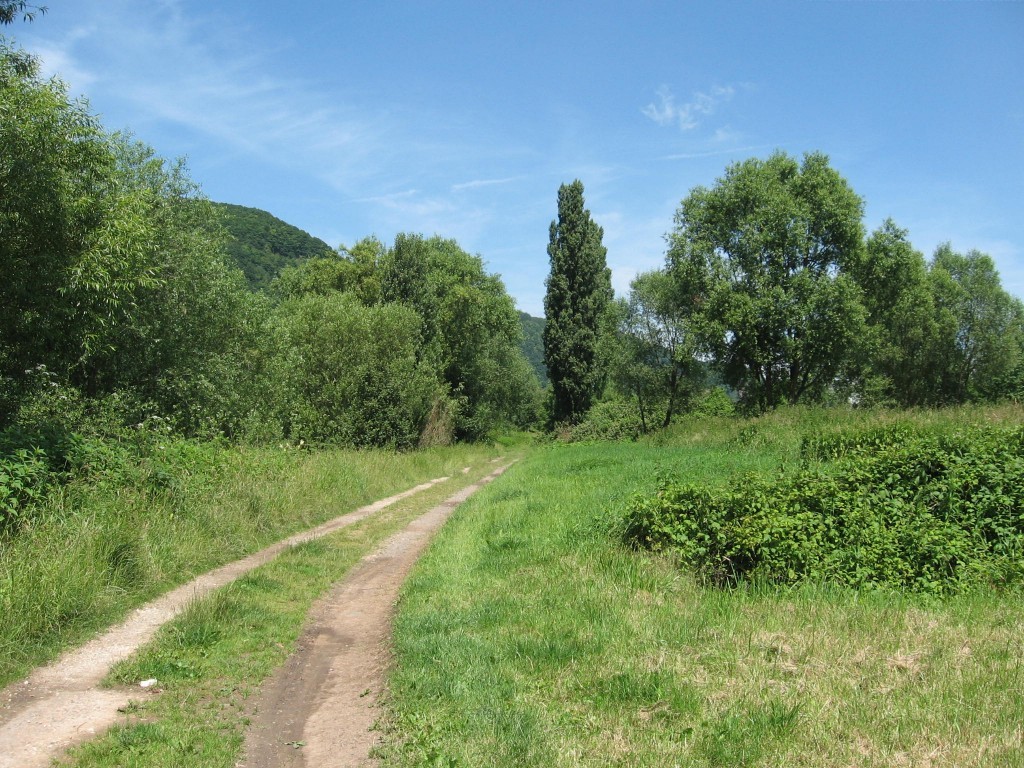Vak.Moesel 043.jpg