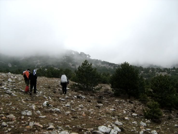 Visneli-Nif084.jpg