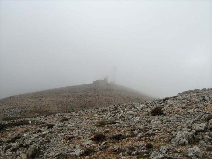 Visneli-Nif091.jpg