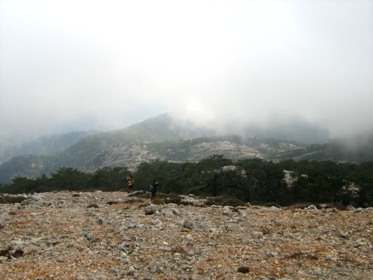 Visneli-Nif093.jpg