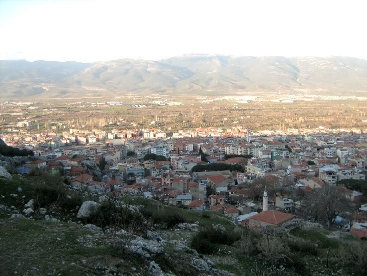 Visneli-Nif113.jpg
