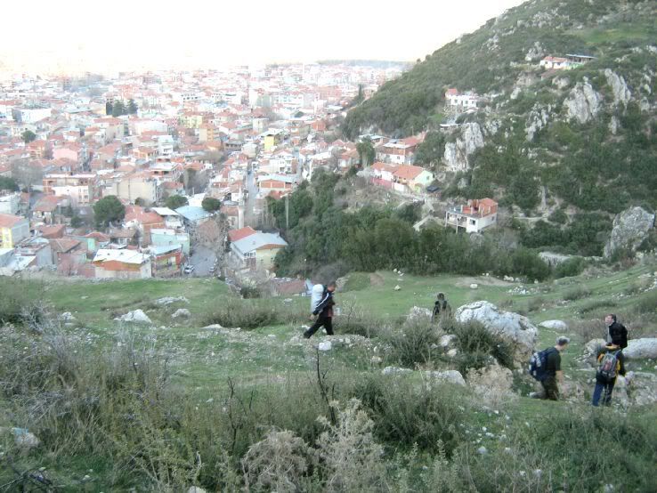 Visneli-Nif114.jpg