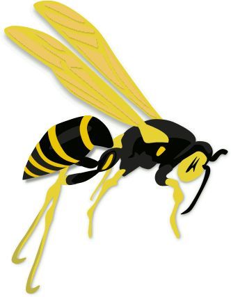 wasp.jpg