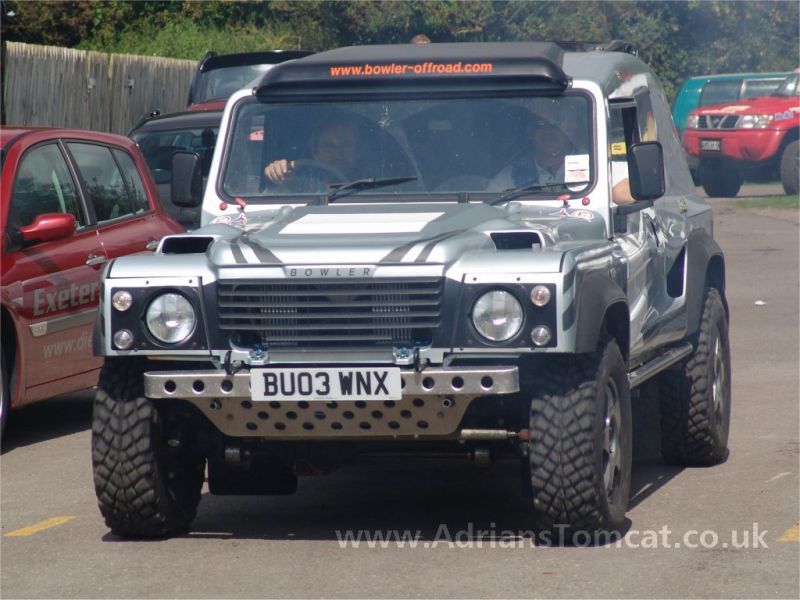 Wildcat01.jpg