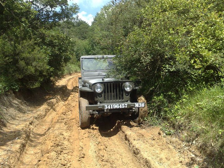willys.jpg