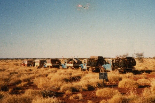 Windy Corner_2.jpg