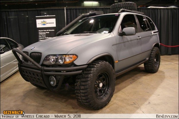 x5_wild1-625x416.jpg