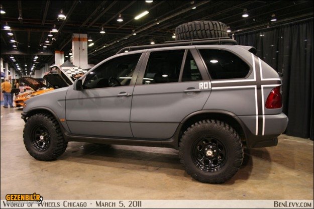 x5_wild2-625x416.jpg