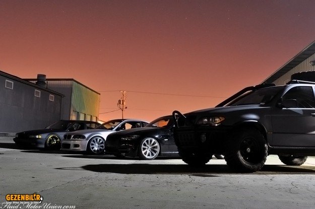 x5_wild3-625x415.jpg