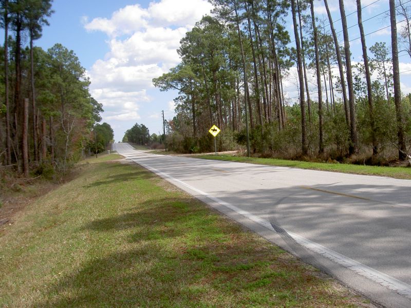 Y Florida roads