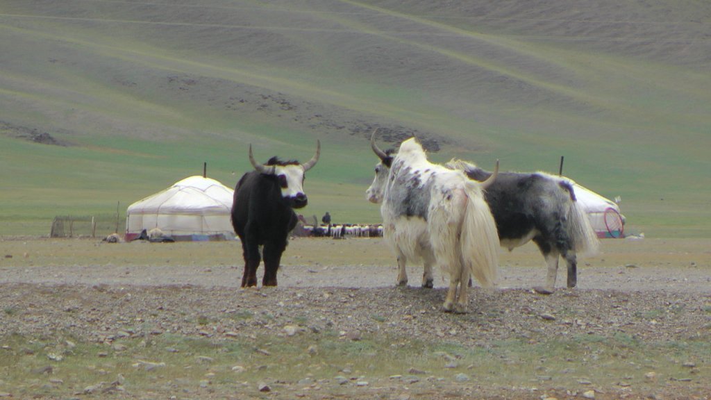 yakÃƒÂƒÃ‚ÂƒÃƒÂ‚Ã‚Â¶kÃƒÂƒÃ‚ÂƒÃƒÂ‚Ã‚Â¼zÃƒÂƒÃ‚ÂƒÃƒÂ‚Ã‚Â¼.jpg