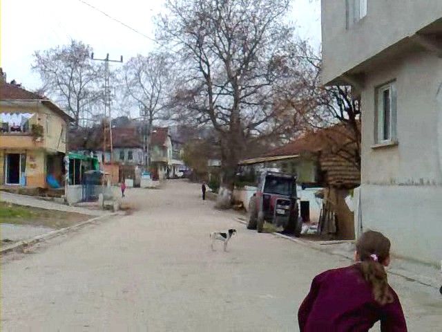 YALOVA-ÃƒÂƒÃ‚Â„ÃƒÂ‚Ã‚Â°LYASKÃƒÂƒÃ‚ÂƒÃƒÂ‚Ã‚Â–Y10.12.2009 (1)..jpg