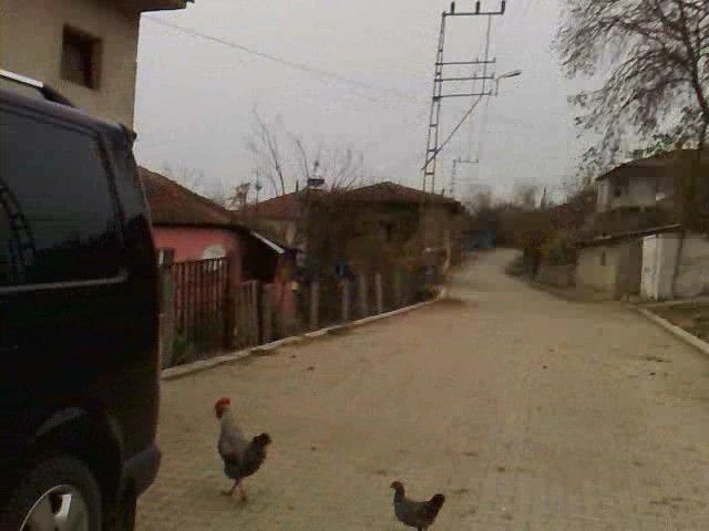 YALOVA-ÃƒÂƒÃ‚Â„ÃƒÂ‚Ã‚Â°LYASKÃƒÂƒÃ‚ÂƒÃƒÂ‚Ã‚Â–Y10.12.2009 (5).jpg