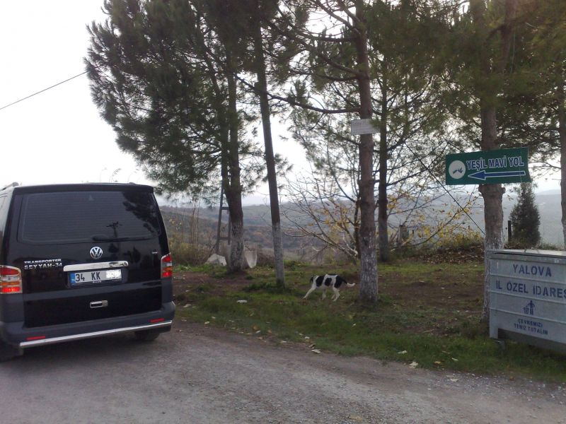 YALOVA-ÃƒÂƒÃ‚Â„ÃƒÂ‚Ã‚Â°LYASKÃƒÂƒÃ‚ÂƒÃƒÂ‚Ã‚Â–Y10.12.2009 (7).jpg