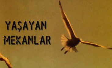 yasayanmekanlar.jpg