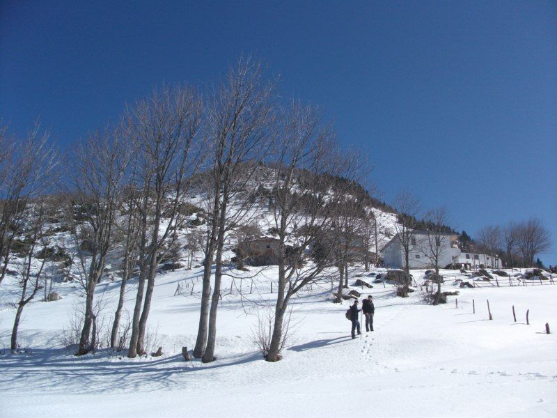 yayla ÃƒÂƒÃ‚ÂƒÃƒÂ‚Ã‚Â§ÃƒÂƒÃ‚Â„ÃƒÂ‚Ã‚Â±kÃƒÂƒÃ‚Â„ÃƒÂ‚Ã‚Â±i1.jpg