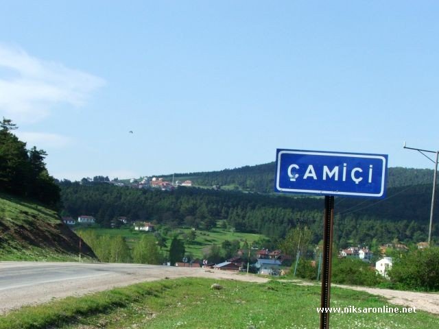 yayla giriÃƒÂƒÃ‚Â…ÃƒÂ‚Ã‚ÂŸ.jpg