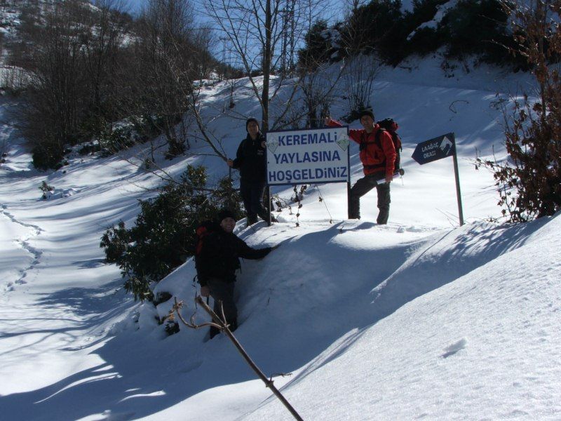 Yayla girii