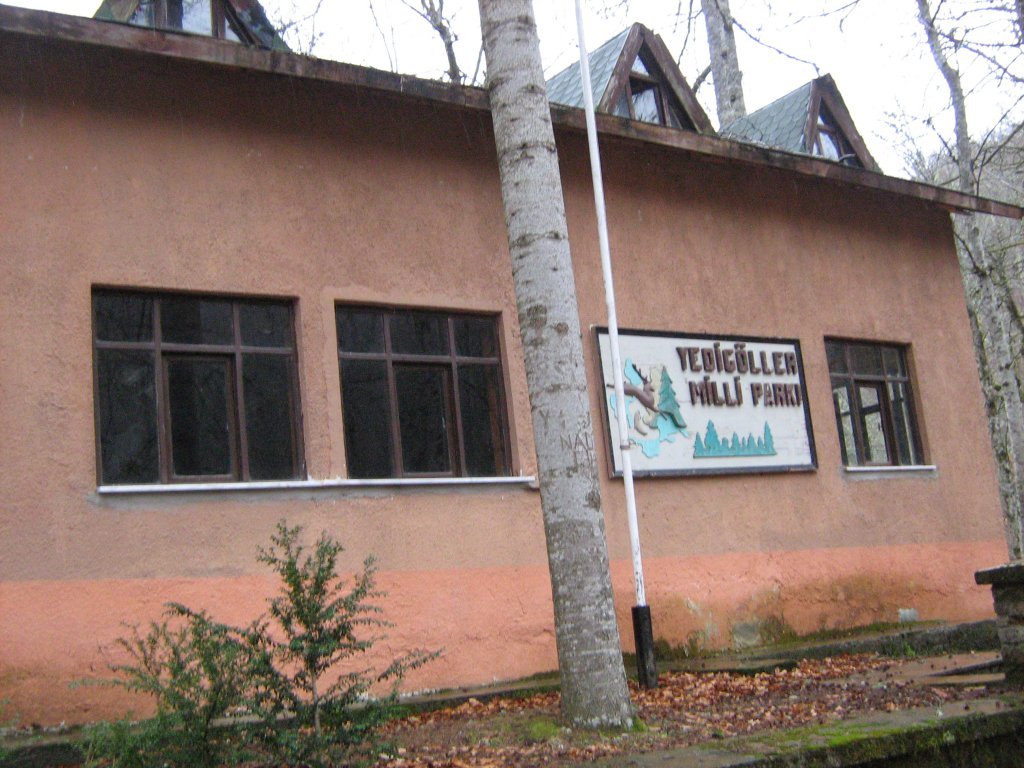 ydg118.JPG