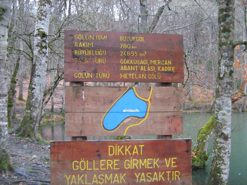 ydg132.JPG