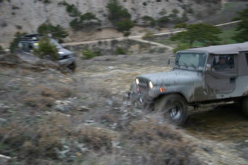 ye_IMG_0905.jpg