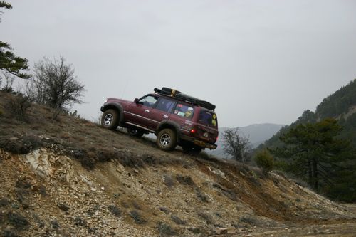 ye_IMG_0930.jpg