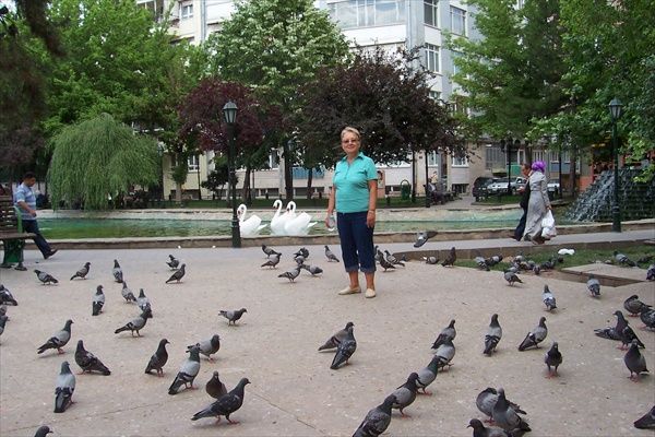 Yediler Park?.jpg
