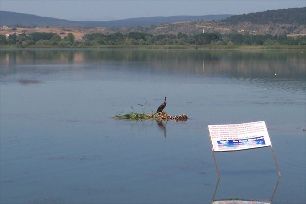 Yeniça?a Ku? Cenneti.jpg