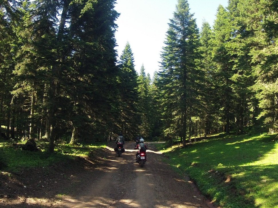 Yenice Denemesi (104).JPG