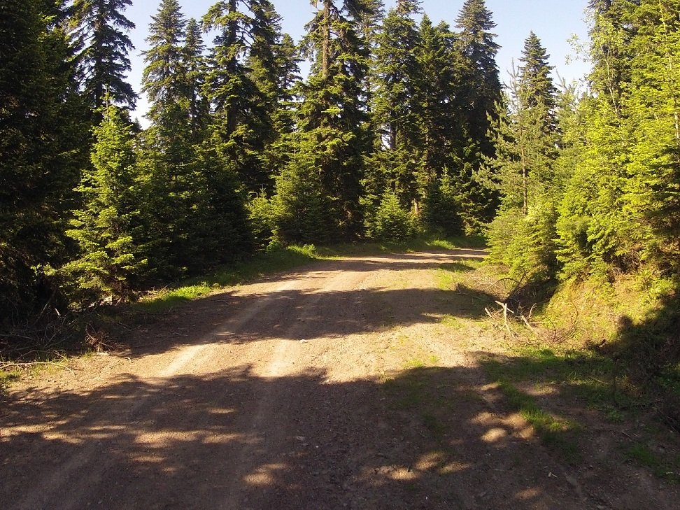 Yenice Denemesi (107).JPG