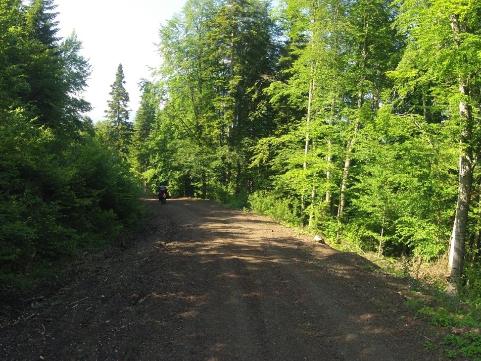 Yenice Denemesi (119).JPG