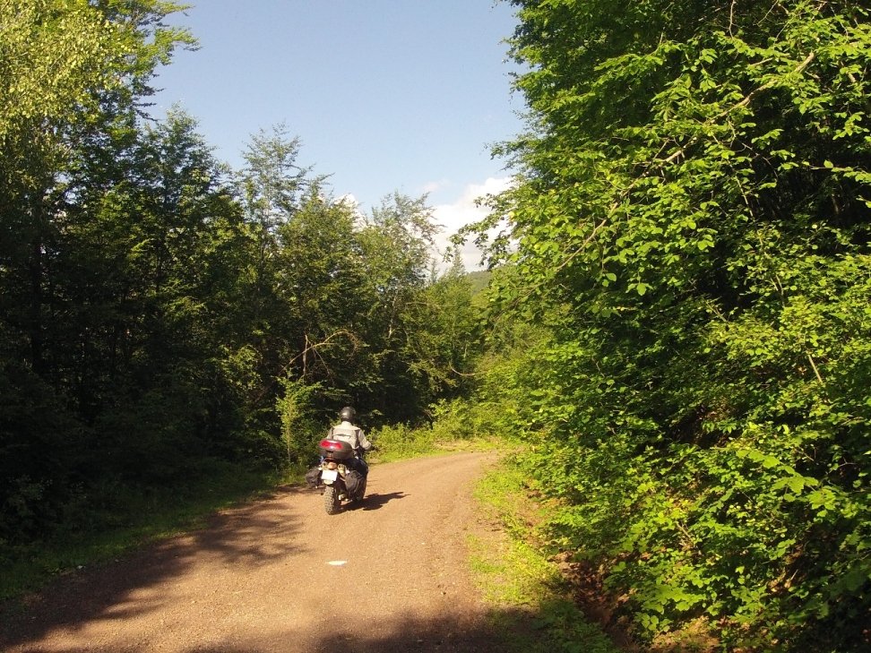 Yenice Denemesi (123).JPG