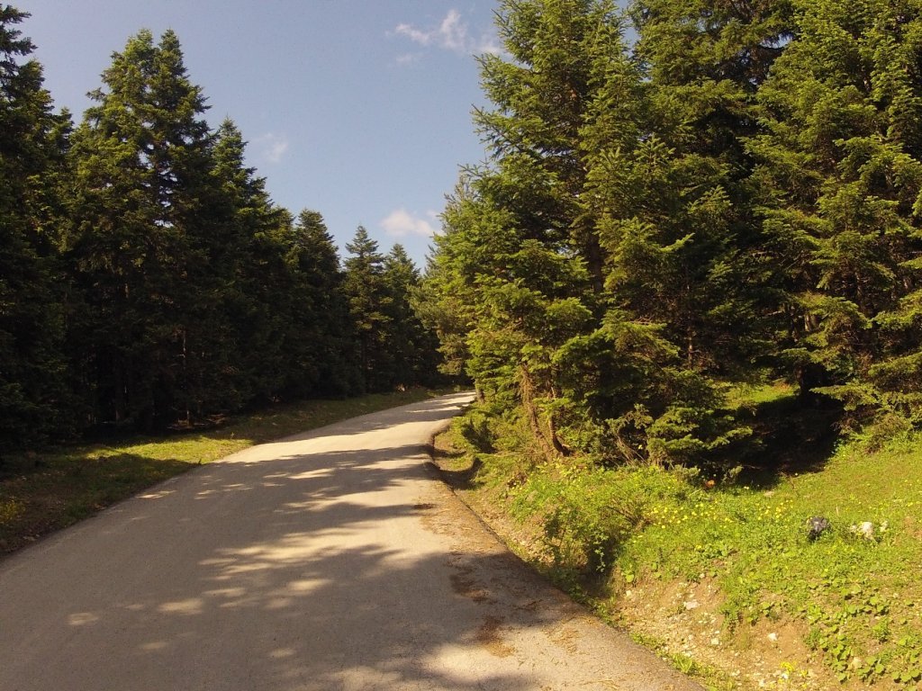 Yenice Denemesi (46).jpg