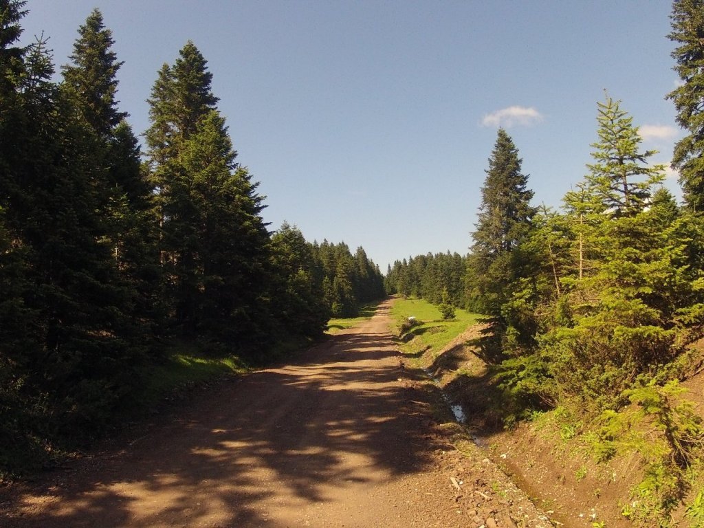 Yenice Denemesi (56).jpg