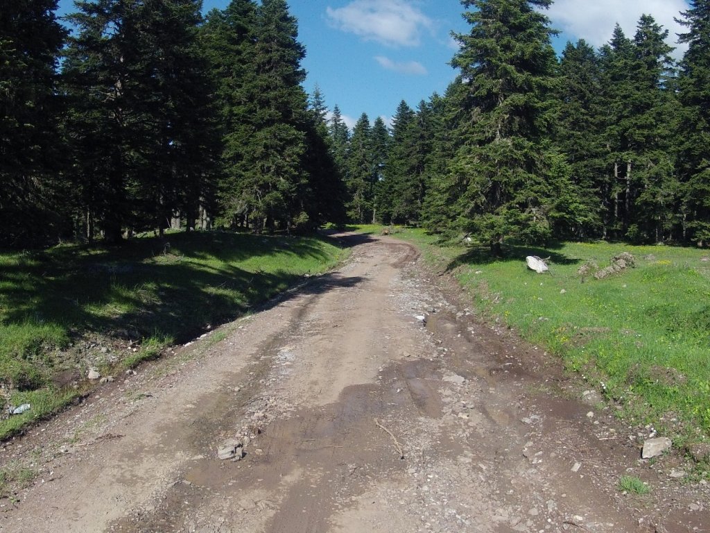 Yenice Denemesi (58).jpg