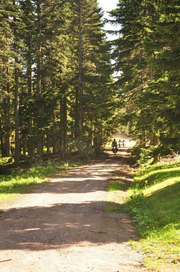 Yenice Denemesi (61).jpg