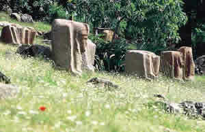 yesemek01.jpg